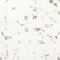 Msi Regallo Calacatta Marbella SAMPLE Matte Porcelain Mosaic tile ZOR-PT-0639-SAM - alternate 1