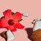 Shea Moisture Coconut and Hibiscus Curl Enhancing Smoothie Cream, 10 Ounce, 12PK 69600169 - alternate 3