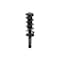Fcs Struts Suspension Strut And Coil Spring Assembly 1345903 - alternate 1