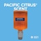 Georgia-Pacific Hand Soap, Pacific Blue Ultra Series, 1,200 mL, Foam, Pacific Citrus, 4 PK 43715 - alternate 8