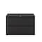Hirsh 42" W 2 Drawer Lateral File Cabinet, Black, A4/Legal/Letter 17457 - alternate 4