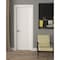 Darpet Caiman Interior Door (2 Panel with Arch), 36" x 80" x 1-3/8" thick CAIM6830HC138 - alternate 1