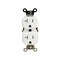 Leviton Duplex Receptacle, 2 -Pole, 20 A, 125 V, Back, Side Wiring, NEMA: 5-20R, White TBR20-00W - alternate 1