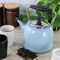 Martha Stewart Everyday Lily Pond 2.2 Quart Stainless Steel Tea Kettle in Periwinkle 137303.01 - alternate 4