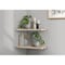 Monarch Specialties Artificial Plant, 8" Tall, Alocasia, Indoor, Faux, Fake, Table, Greenery, Potted, Set Of 2 I 9582 - alternate 1