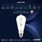 Luxrite Vintage ST19 LED Light Bulb 60 Watt Equivalent, 5CCT 2700K 3000K 3500K 4000K 5000K, 4PK LR21685 - alternate 4