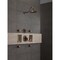 Delta Body Spray, Venetian Bronze, Surface 50102-RB - alternate 6
