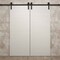 Sartodoors Modern Double Barn Door 64 x 84 inches, Ego 5000 Painted White Oak, 13FT Rail Track Set, Solid Pa EGO5000DB-PWO-6484 - alternate 2