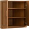 Homeroots Set Of Two Brown Wood Corner Accent Cabinet With Two Doors 712115 - alternate 3
