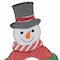 Sunjoy 48 in. Christmas Lighted Joyous Snowman, 2D Tinsel Santa JOY Display Set Outdoor Garden D116019800 - alternate 2