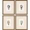 Homeroots Set Of Four Ocean Blades Gold Framed Print Wall Art, 4PK 416361 - alternate 1