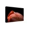 Trademark Fine Art Outdoor Canvas Art - Natalia Rublina  'Melancholy Flamingo' Wall Art for Patios, or Gardens 1X29632-OC3047WR - alternate 1