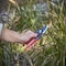 Corona Tools FlexDIAL Bypass Pruner, 3/4 in. Cut Capacity BP 4214D - alternate 3