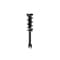 Fcs Struts Suspension Strut And Coil Spring Assembly 1355180L - alternate 3