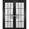 Sartodoors Solid French Double Frosted Glass Doors 12 Lites, Felicia 3312 Matte Black, Single Regural Panel F FELICIA3312DD-BLK-64 - alternate 1