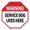 Signmission Warning Service Dog Lives Here, 10 Inch X 10 Inch, Aluminum Metal Signs OC-A-10-192 - alternate 1