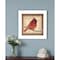 Homeroots Male Cardinal 1 White Framed Print Wall Art 407369 - alternate 4