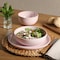 Gibson Home Candy Skies 12 Piece Wheat Straw Melamine Dinnerware Set in Pink 750123505M - alternate 5