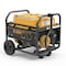 Firman Portable Generator with CO Alert, 30 A, 120 VAC, Gasoline, 5 gal Tank, 14 hr Run Time, Recoil Start P03613 - alternate 2