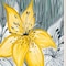 Homeroots Set Of Two Tiger Lilies 1 White Framed Print Wall Art, 2PK 406032 - alternate 3