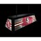 Holland Bar Stool Florida State University Long Box Billiard Light BxLM2 - alternate 2