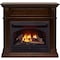 Procom Heating Dual Fuel Ventless Gas Fireplace, 26,000 BTU, T-Stat Control, Walnut Finish FBNSD28T-J-W - alternate 1