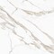 Apollo Tile Regalia 12x12 Beige Porcelain Veining Wall and Floor Tile (13.56 sq ft/case), 14PK VEL88ORO1212A - alternate 1