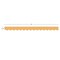 Teacher Created Resources Golden Sun Scalloped Border Trim, 35 Feet Per Pack, 6PK TCR9243 - alternate 3