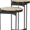 Homeroots Set of Two Brown And Black Marble And Metal Nested Tables, 2PK 604468 - alternate 4