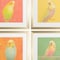 Homeroots Set Of Four Colorful Bird B S/4 Gold Framed Print Wall Art, 4PK 521462 - alternate 2