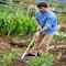 Corona Tools Cultivator, 4 Prong, 60 in. Aluminum Handle CV 60064 - alternate 2