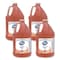 Dial Professional Antibacterial Defense Original Foaming Hand Wash, Plus Aloe, Original Scent, 1 gal, 4PK 17000 35452 - alternate 1