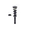 Fcs Struts Suspension Strut And Coil Spring Assembly 1355170 - alternate 4