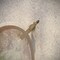 Axor Citterio C Freestanding Tub Filler Trim with 1.75gpm Handshower- Cubic Cut in Brushed Gold Optic 49441251 - alternate 3
