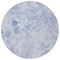 Homeroots 8' Sky Blue And Denim Blue Round Floral Washable Indoor Outdoor Area Rug 583132 - alternate 5