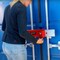 Doublelock BULL, Max Duty Steel Cargo Container Lock, One Piece  26 lbs. 080-110A - alternate 4
