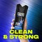 Axe Phoenix Wash and Care 2-in-1 Shampoo and Conditioner, 16 Ounce, 4PK 68274669 - alternate 4
