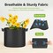 Ipower HealSmart Plant Grow Bags 5 Gallon, Tomoato Planter Pots with Handles, Black 2024 Version, 5PK GLGROWBAG5X5BLKV5 - alternate 2