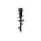 Fcs Struts Suspension Strut And Coil Spring Assembly 5331660L - alternate 1