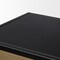 Homeroots 18in Black Iron and Metal Accent Cabinet With Two Doors 727719 - alternate 4
