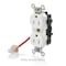Leviton Straight Blade Receptacle, 5-15R, 15 A, 125V AC, Self-Grounded MT562-SCI - alternate 3