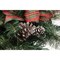 Celebrations 2 ft. Full LED 35 ct Twig Pine Bow Color Changing Porch Bush 09-04003A - alternate 3
