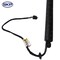Skyward Automotive Products Liftgate Lift Support,  SKPL615057 - alternate 2