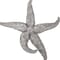 Homeroots 15" Antiqued Silver Resin Starfish Hanging Dimensional Sculpture 401228 - alternate 4