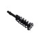 Fcs Struts Suspension Strut And Coil Spring Assembly 1335880L - alternate 3