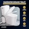 Anzzi Nesso Rear Outlet Macerating 2-Piece 1.6 GPF Single Flush Elongated Upflush Toilet with 0.8 HP White TL-AZ600MPWHKIT - alternate 5