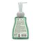 Dial Professional Basics Hypoallergenic Foaming Hand Wash, Aquatic, 10 oz Pump Bottle DIA35432EA - alternate 6