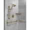Delta Flange - Shower RP6025CZ - alternate 5