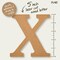 Plaid MDF Letter, X, 5 Inch, 12PK 63577 - alternate 2