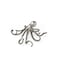 Homeroots Petite Silver Resin Octopus Sculpture 392447 - alternate 1